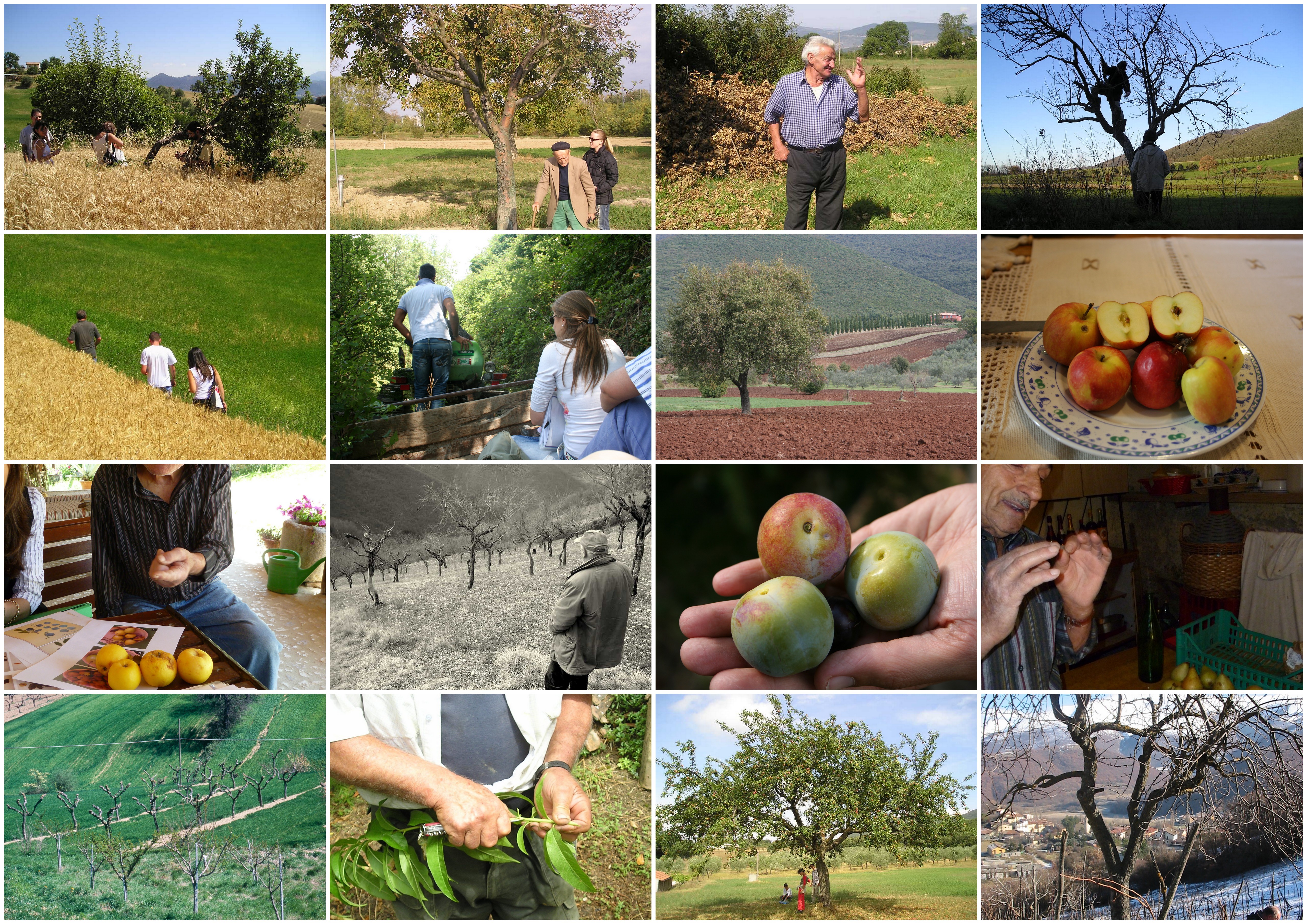 Storymap per 3A-PTA Umbria Agri-Food Technology Park