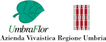 Piattaforma tecnologica a supporto del monitoraggio e delle azioni di salvaguardia e valorizzazione delle risorse genetiche forestali