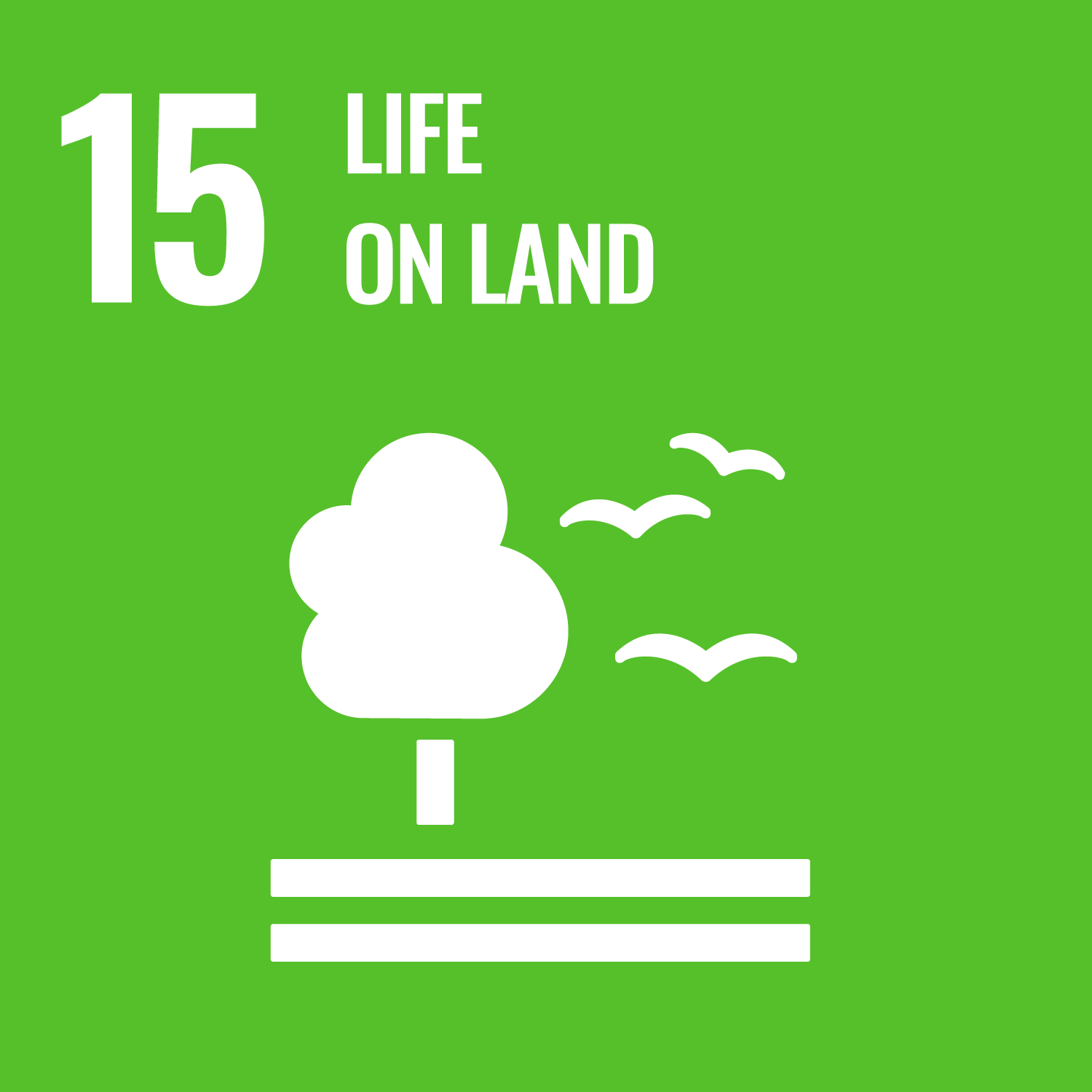 SDG MAP 15 – Vita sulla Terra