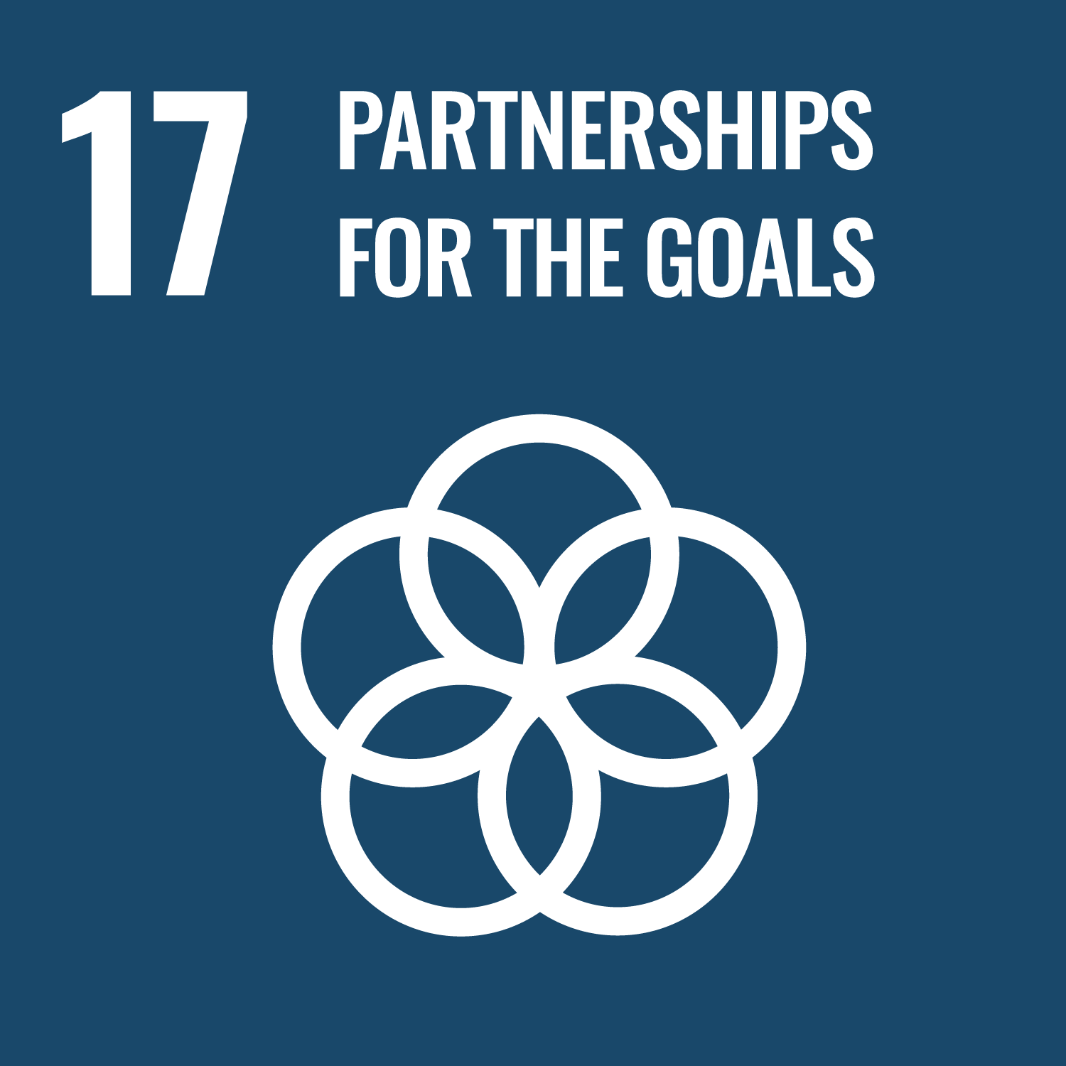 SDG MAP 12 – Consumo e Produzione Responsabili