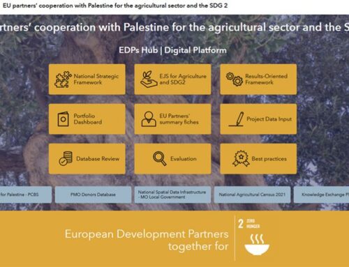 A digital hub to support donors’ cooperation | Palestine case study