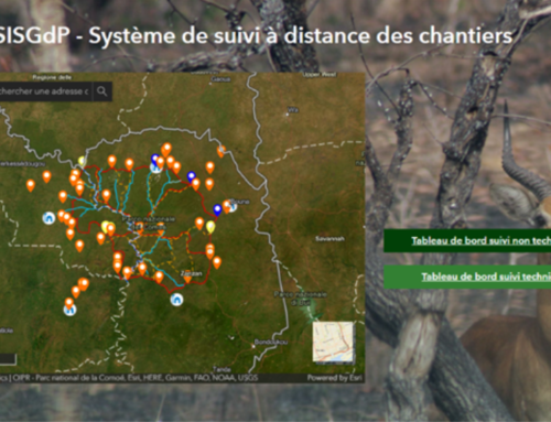 Remote Monitoring of Construction Sites