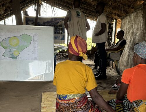 Building Resilience in Mozambique: Protecting Children from Natural Disasters