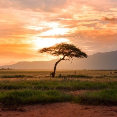 la-storia-dellevoluzione-umana-1