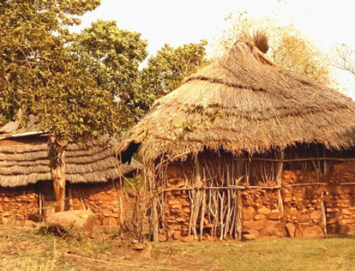 Système d&rsquo;information pour le suivi et l&rsquo;évaluation en Eswatini et au Mozambique