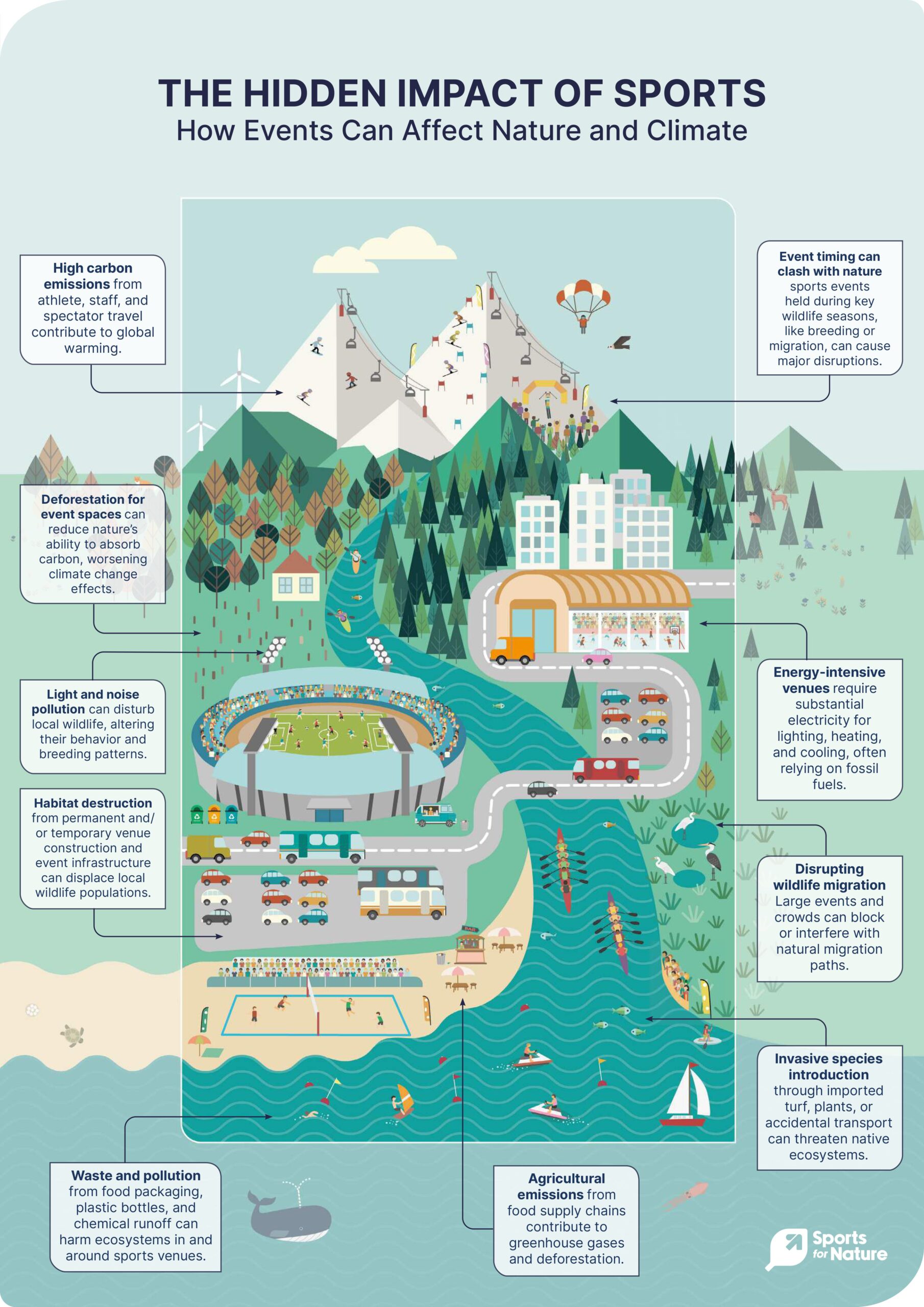 Illustration_The-Hidden-Impact-of-Sports The-Hidden-Impact-of-Sports