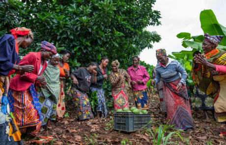 Mozambique, Chimoio, Manica, Agriculture