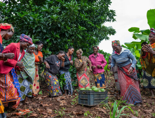 Mapping Mozambique’s Agricultural Value Chains